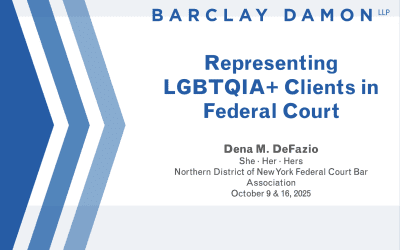 CLE: Representing LGBTQIA+ Clients in Federal Court (October 16, 2025) (VOD)