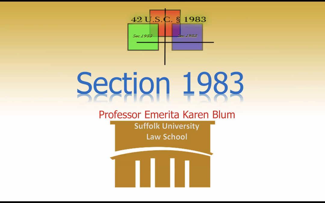 CLE: Section 1983 Civil Rights Litigation with Prof. Karen M. Blum (June 10, 2026)